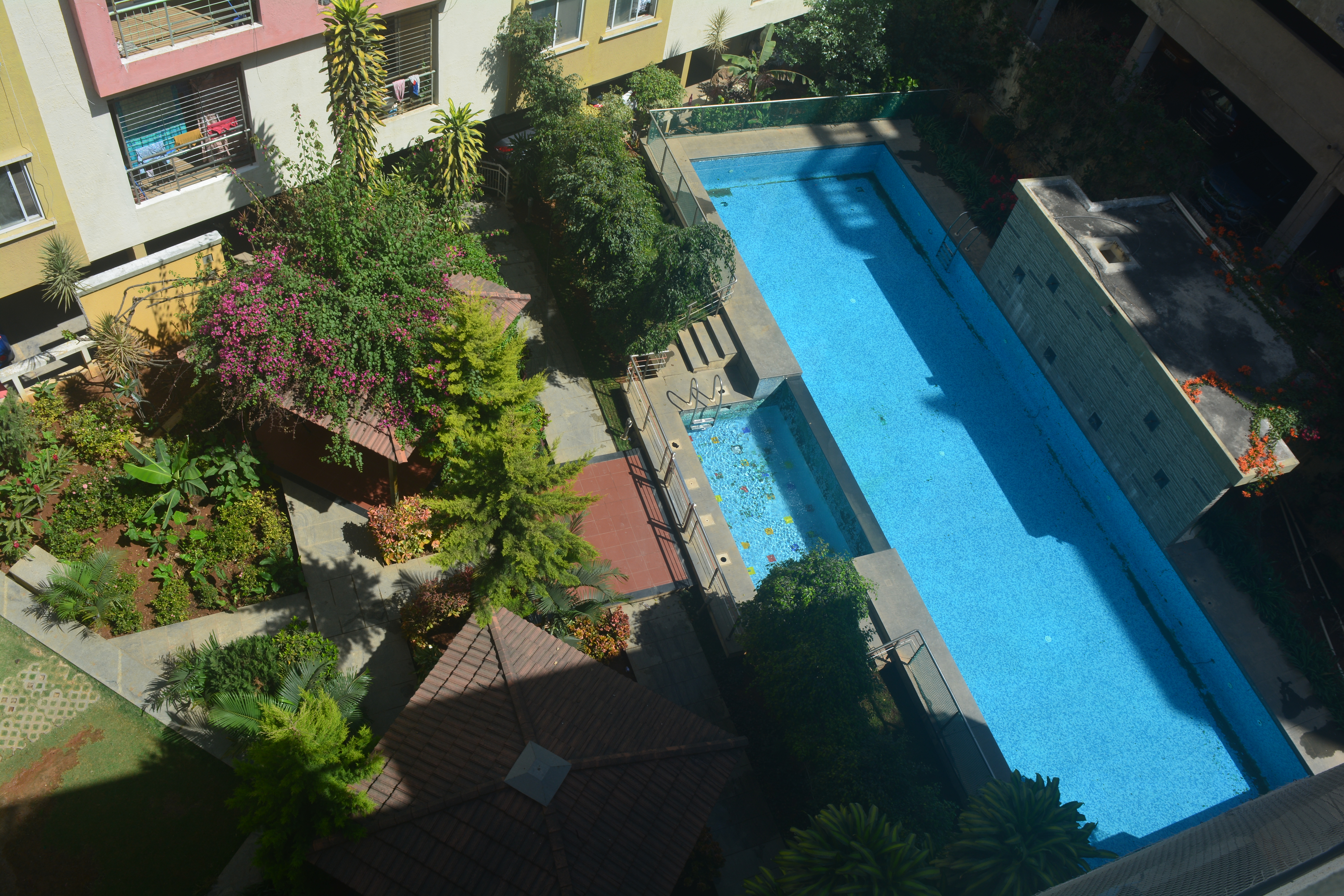 Suraksha Golden Palms