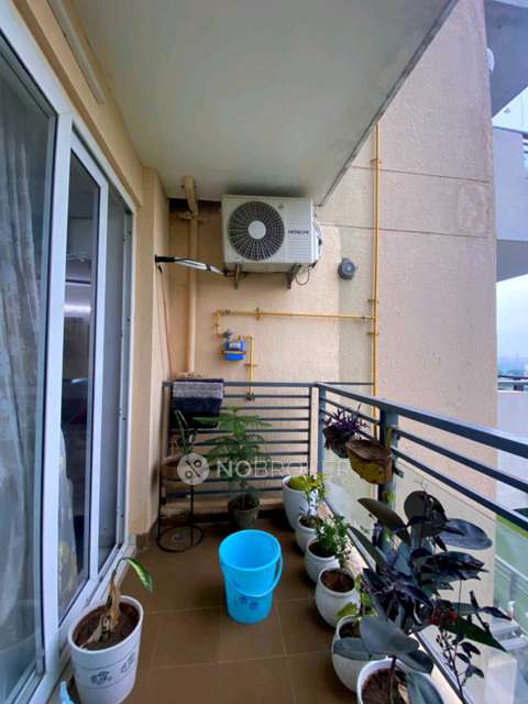 3 BHK Flat In Tulip Violet For Sale  In Sector-69