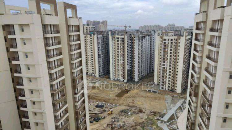 3 BHK Flat In Amrapali Golf Homes For Sale  In Sector-4