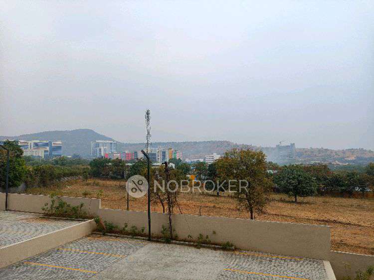 2 BHK Flat In Kohinoor Coral for Rent  In Hinjawadi