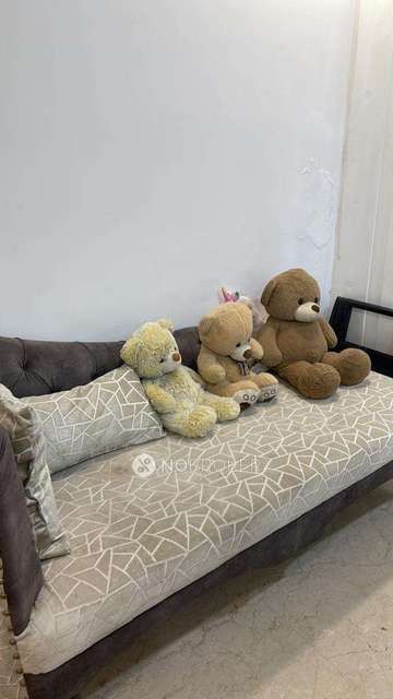 3 BHK Flat For Sale  In Pitampura