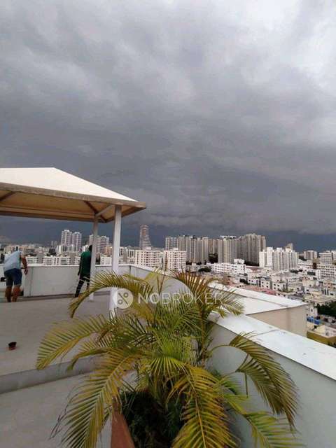 3 BHK Flat In Marvel Bounty for Rent  In Hadapsar