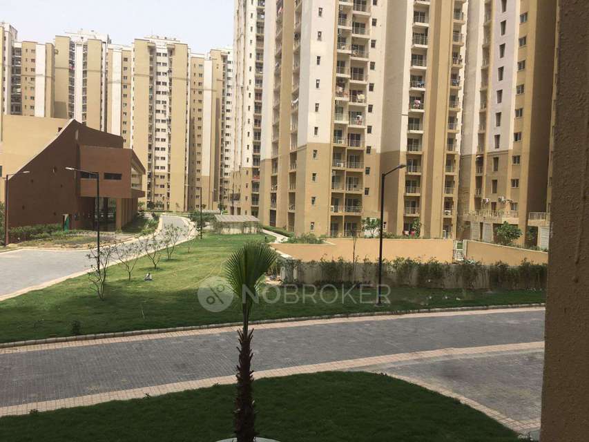 3 BHK Flat In Paras Tierea For Sale  In Sector 137