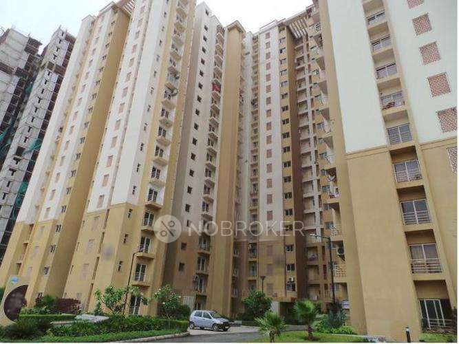 3 BHK Flat In Paras Tierea For Sale  In Sector 137