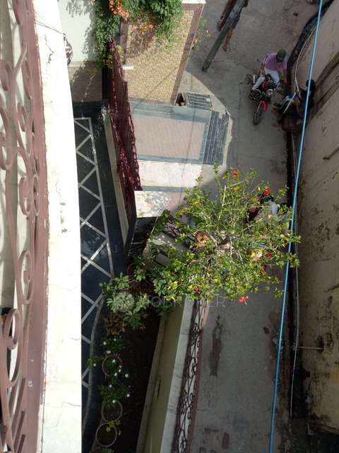 4+ BHK Flat In Stand Alone Bulding For Sale  In Alipur