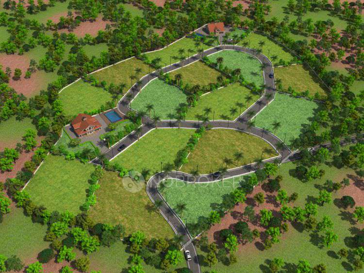 Plot For Sale  In Blue  Bird In Warje