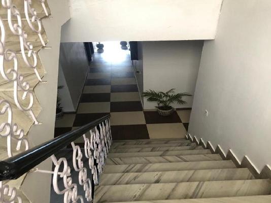 PG for Anyone in Sector 38