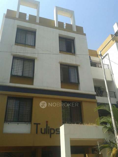 2 BHK Flat In Tulip Apartment for Rent  In  Pashan