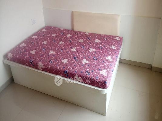 2 BHK Flat In Shri Sai Hills for Rent  In Kesnand