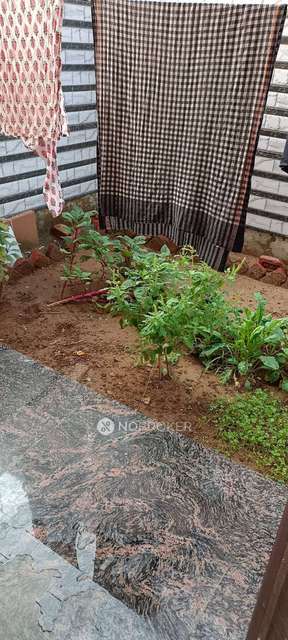 3 BHK Flat In Bptp Parkland Pride For Sale  In Sector 77