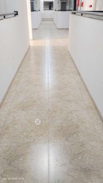 3 BHK Flat In Vtp Belair for Rent  In Mahalunge