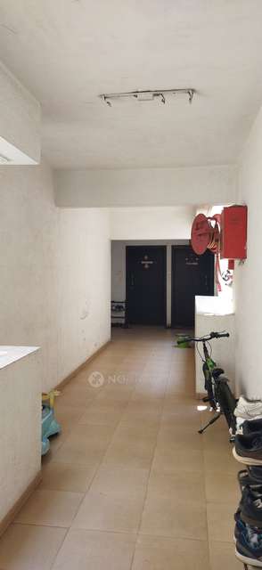 1 BHK Flat In El-castillo Housing Society For Sale  In Wagholi