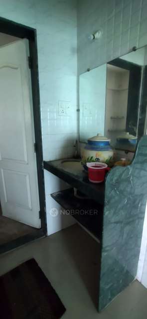 1 BHK Flat In El-castillo Housing Society For Sale  In Wagholi