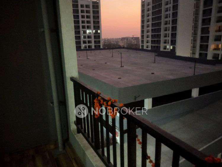 1 BHK Flat In Kolte Patil Ivy Nia For Sale  In Wagholi