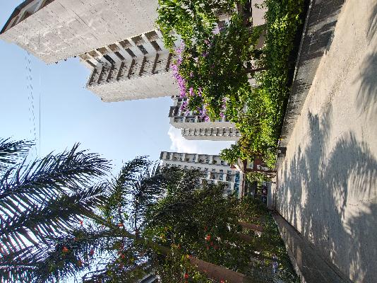 3 BHK Flat In Urban Nest for Rent  In Undri