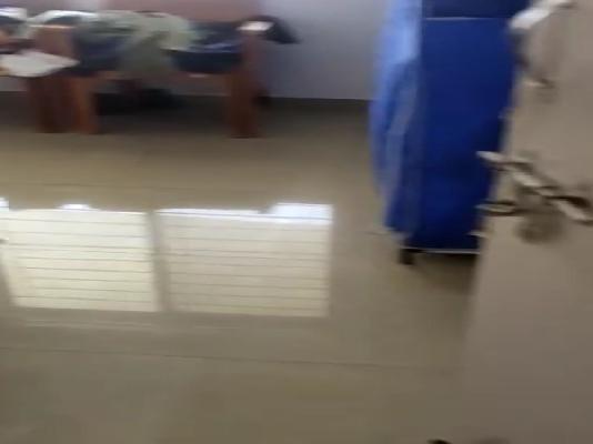 2 BHK Flat In Green Meadows for Rent  In Hinjawadi