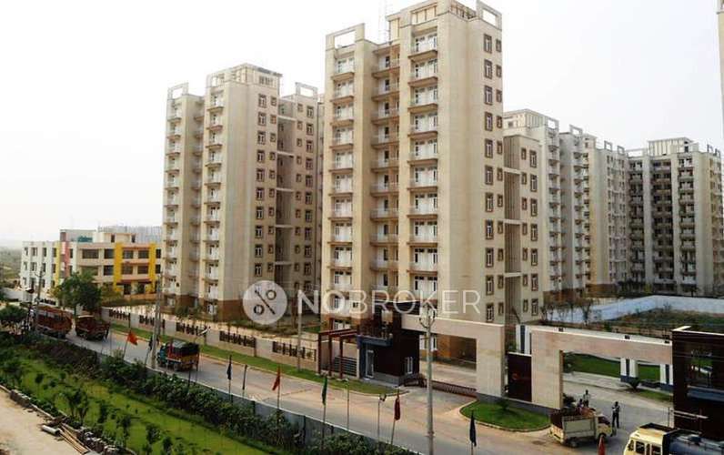 3 BHK Flat In Tulip Orange For Sale  In Sector 70