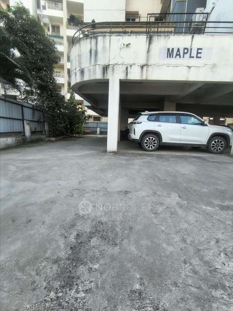 3 BHK Flat In Maple Society for Rent  In Baner