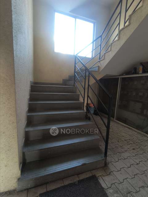 3 BHK Flat In Maple Society for Rent  In Baner