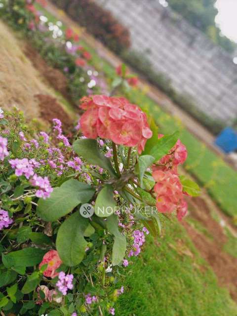 1 BHK Flat In Sarvppratham Anandvann For Sale  In Igatpuri