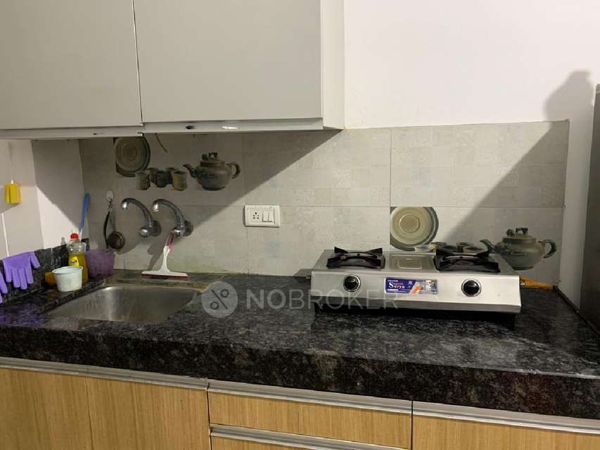 1 BHK Villa In Konark Orchid for Rent  In Wagholi