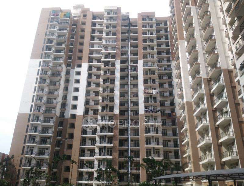 2 BHK Flat In Gardenia Glory for Rent  In Sector 46