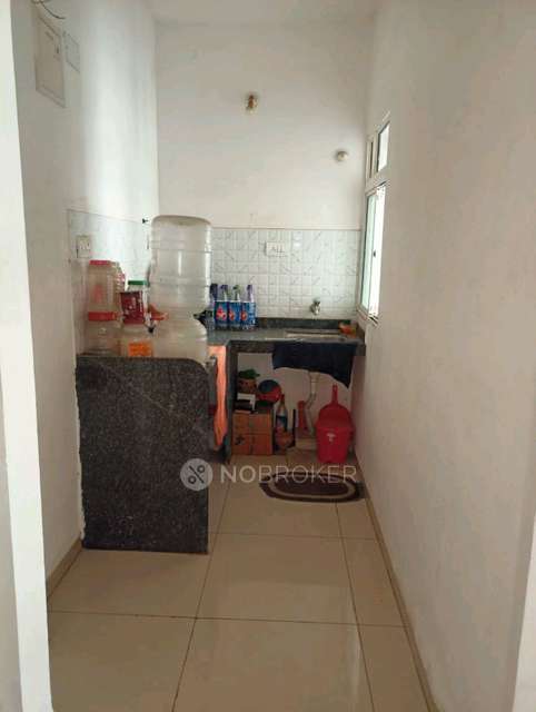 1 BHK Flat In Xrbia Xrbia Hinjewadi for Rent In Hinjewadi