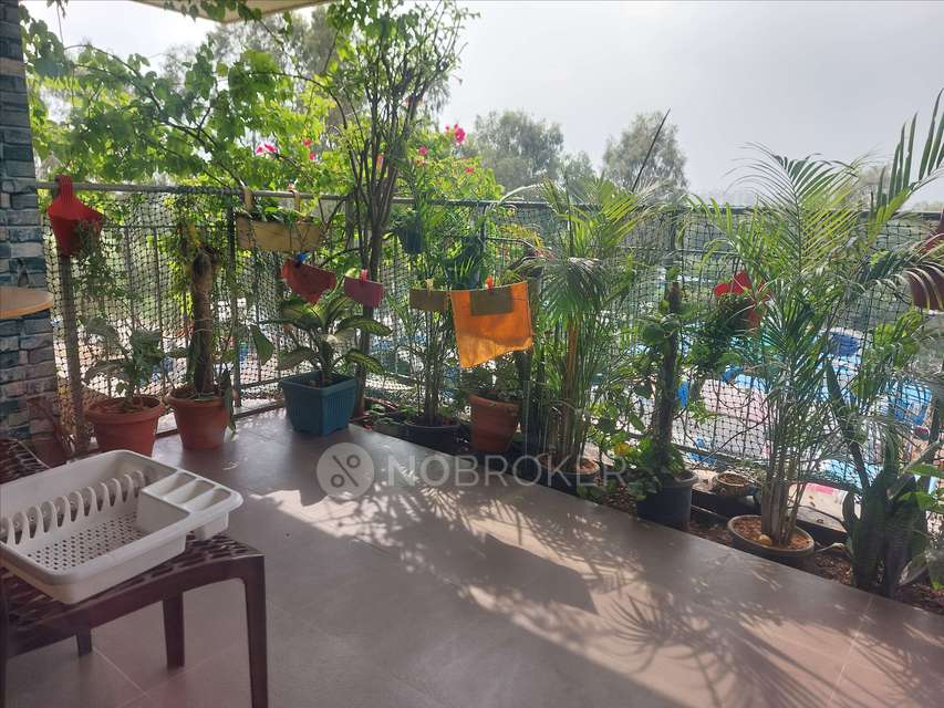 3 BHK Flat In Samskruti Hoysala For Sale  In Doddakannelli