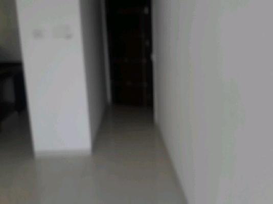 2 BHK Flat In 38 Park Majestique For Sale  In Undri