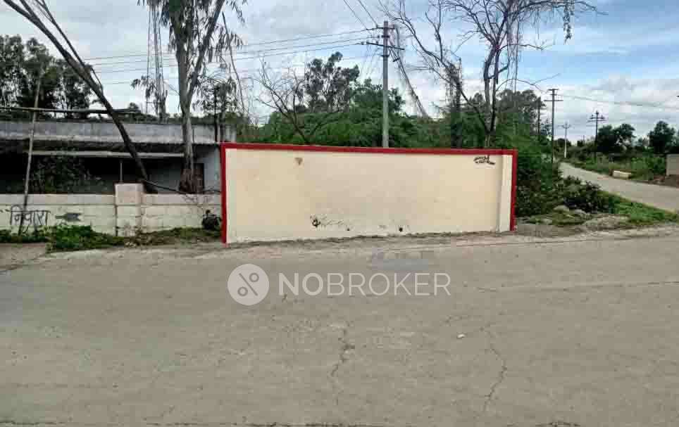 1 BHK Flat In Dreams Nivara For Sale  In Koregaon Mul