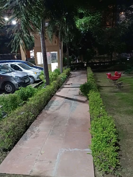 Maxbliss Grand Kingston