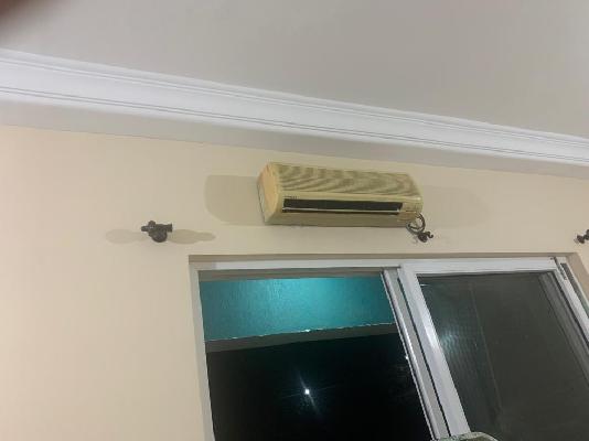 2 BHK Flat In Sangria Towers for Rent  In Hinjawadi