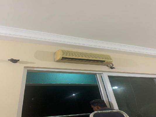 2 BHK Flat In Sangria Towers for Rent  In Hinjawadi