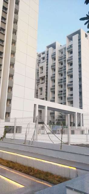 2 BHK Flat In Rohan Prathama,hinjewadi for Rent  In Rohan Prathama