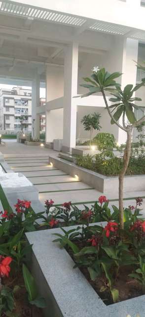 2 BHK Flat In Rohan Prathama,hinjewadi for Rent  In Rohan Prathama