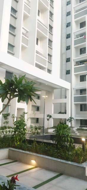 2 BHK Flat In Rohan Prathama,hinjewadi for Rent  In Rohan Prathama