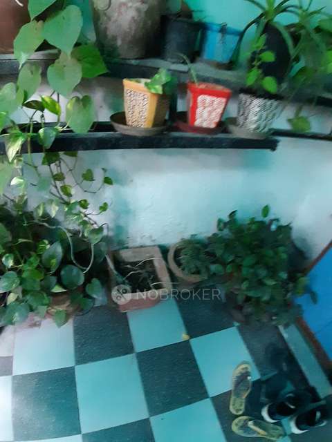 2 BHK Flat In Standalone Building  For Sale  In Jor Bagh