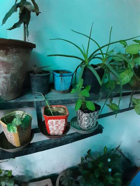 2 BHK Flat In Standalone Building  For Sale  In Jor Bagh