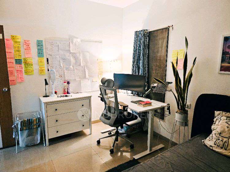 Single Room for Male In 3 BHK  In Elysium Society In 188, Green Dr Rd, Shankar Kalat Nagar, Wakad, Pimpri-chinchwad, Maharashtra 411057, India