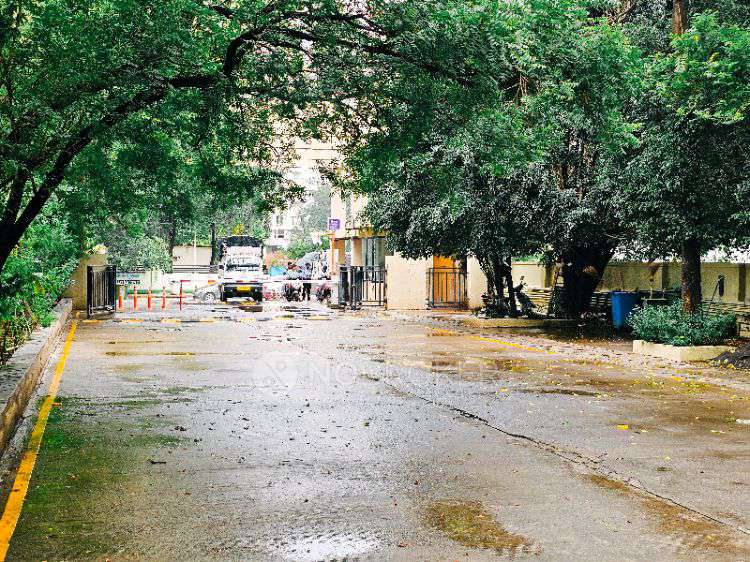 Single Room for Male In 3 BHK  In Elysium Society In 188, Green Dr Rd, Shankar Kalat Nagar, Wakad, Pimpri-chinchwad, Maharashtra 411057, India