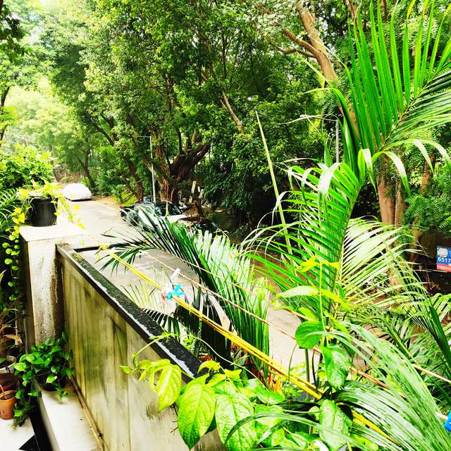 4 BHK Flat In Dda Flats Vasant Kunj, Vasant Kunj For Sale  In Sector C, Vasant Kunj