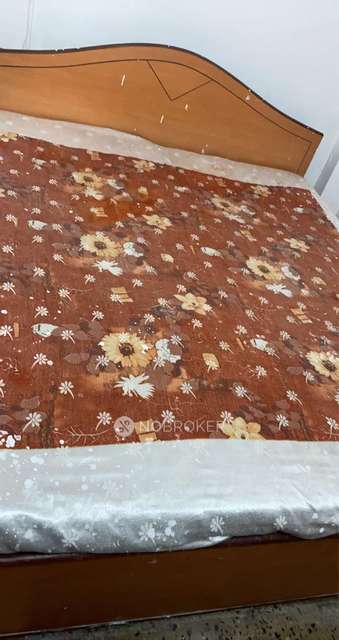 1 BHK Flat In Dhanraj Complex for Rent  In Pipri