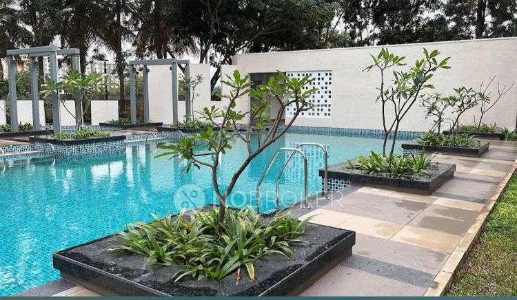 2 BHK Flat In Brigade Orchards Kino For Sale  In Kino At Brigade Orchards
