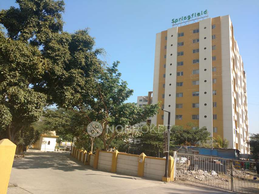 2 BHK Flat In Springfield, Narhe for Rent  In Springfield