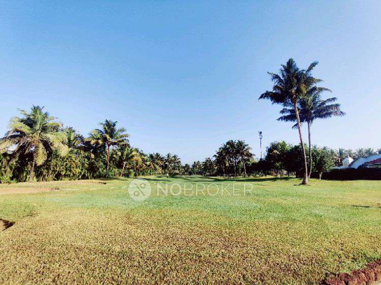 Plot For Sale  In Green Echos In Paudgaon Road