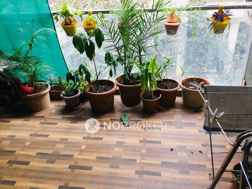 2 BHK Flat In Chloris Chs for Rent  In Balewadi