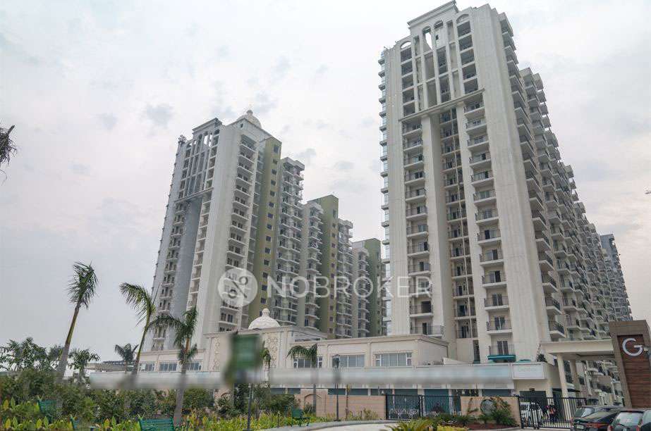 2 BHK Flat In Gulshan Botnia for Rent  In Sector-144