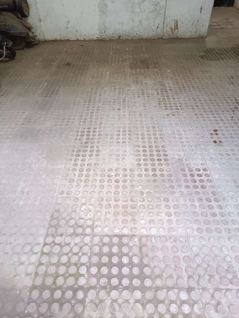 2 BHK Flat In Ganesh Angan Society for Rent  In Narhe