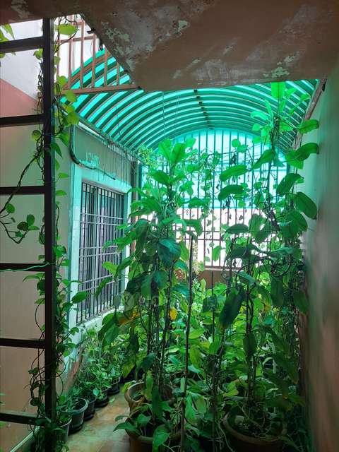 3 BHK Flat In Silver Oak Alliance Orchid Springs For Sale  In Korattur