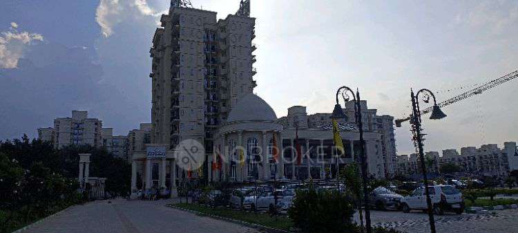 1 BHK Flat In Serenas  Sec 36 Sohna Road for Rent  In Serenas Signature Global